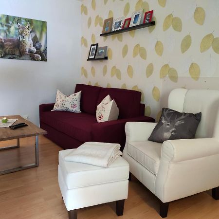 Ferienwohnung Harzluchs Mit Balkon, Netflix Und Sauna Im Haus Hohegeiß 외부 사진