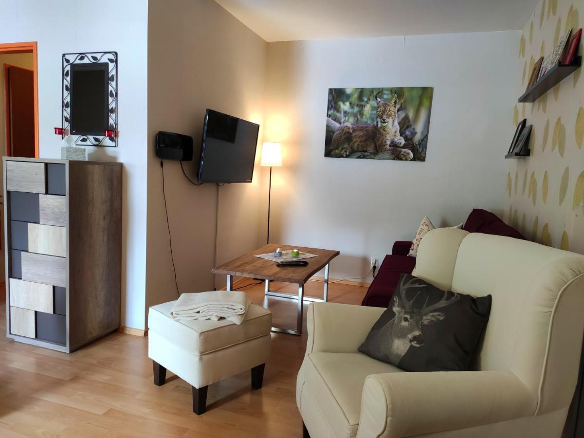 Ferienwohnung Harzluchs Mit Balkon, Netflix Und Sauna Im Haus Hohegeiß 외부 사진