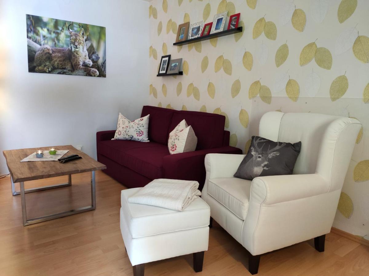 Ferienwohnung Harzluchs Mit Balkon, Netflix Und Sauna Im Haus Hohegeiß 외부 사진