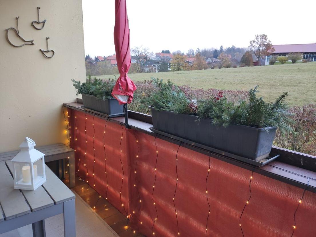 Ferienwohnung Harzluchs Mit Balkon, Netflix Und Sauna Im Haus Hohegeiß 외부 사진