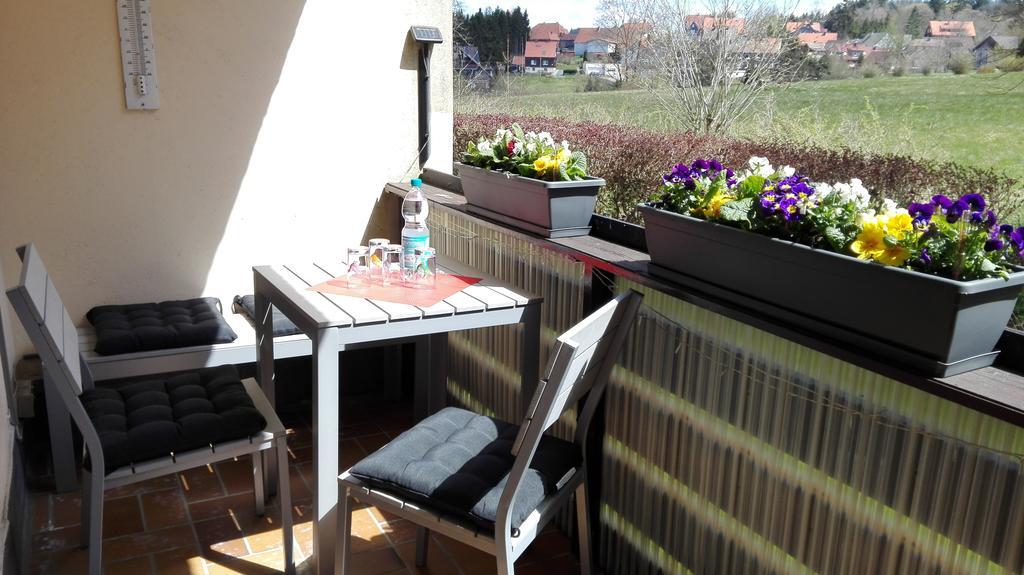 Ferienwohnung Harzluchs Mit Balkon, Netflix Und Sauna Im Haus Hohegeiß 외부 사진