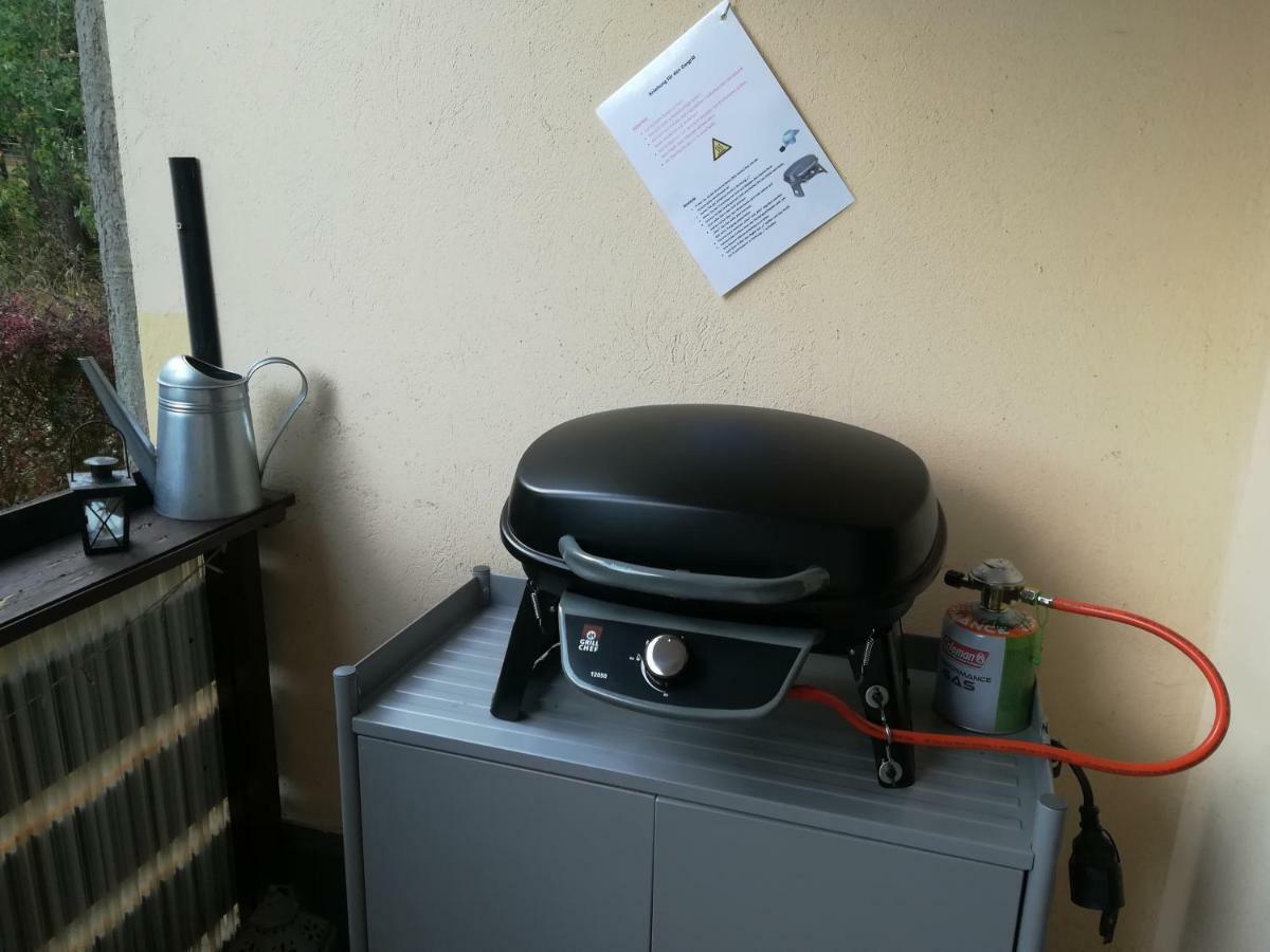Ferienwohnung Harzluchs Mit Balkon, Netflix Und Sauna Im Haus Hohegeiß 외부 사진